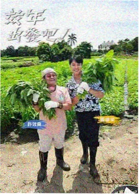 半糖事务所漫画封面